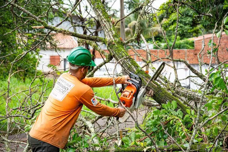 Tree worker in hi-vis cutting branches with a chainsaw